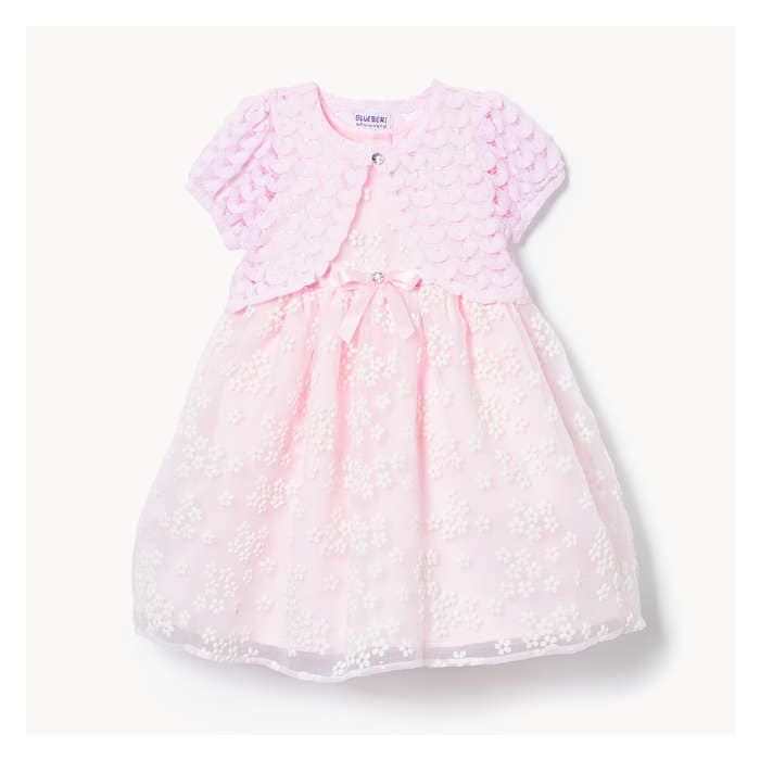 Toddler Girls' Blueberi Boulevard Organza Dress